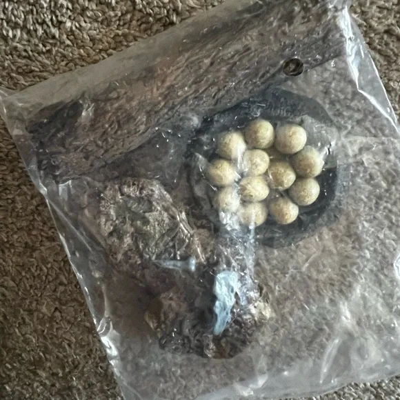 *NEW* Reptile Habitat Accessories Set