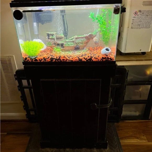 Aquarium with Black Stand and Green Decor