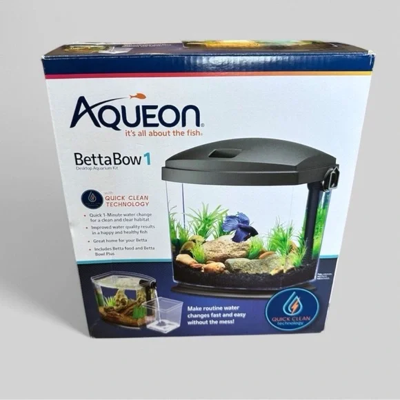 Betta Fish Tank 🐟