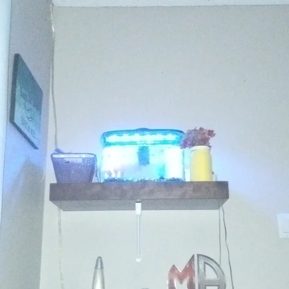 Fish tank