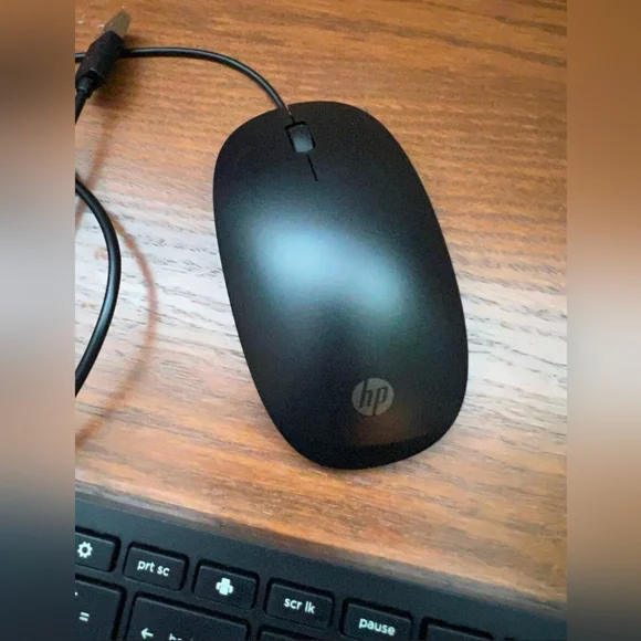 HP computer mouse