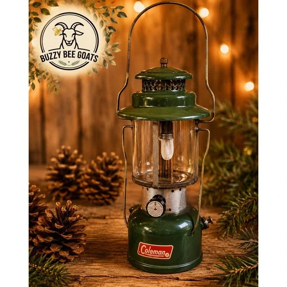 Coleman Lantern 220F Dated Feb 1966 Double Mantle Green Camping Vintage USA