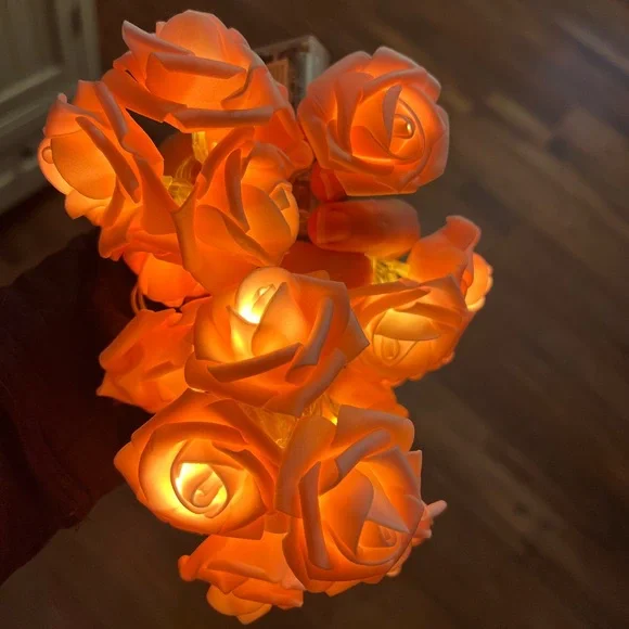 Light up pink roses
