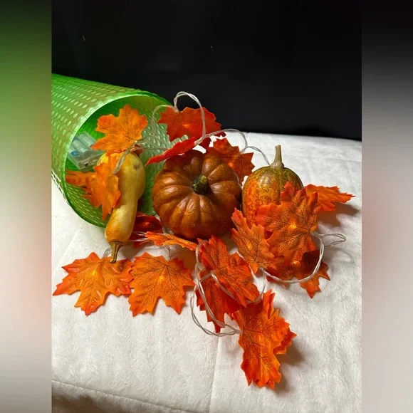 Set Of 2 Double Sided Battery Operated Maple Leaves 🍁 Lights