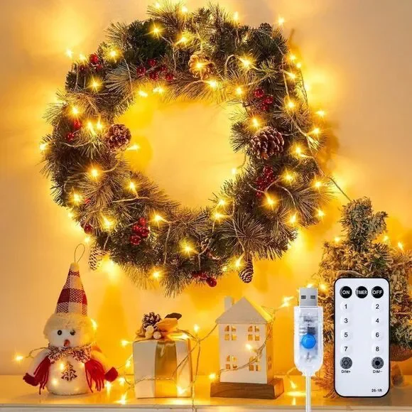 100 LED String Lights - 39.5 Ft USB Plug in Twinkle Fairy Lights w 8 Modes