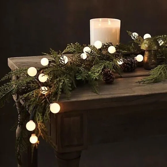 Anthropologie Terrain Stargazer Nature Effects Berry Vine Lights