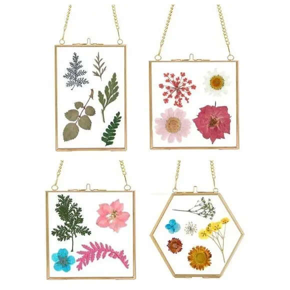 4 PCS Glass Frame for DIY Pressed Flowers Art for Wall Decor Display Gallery