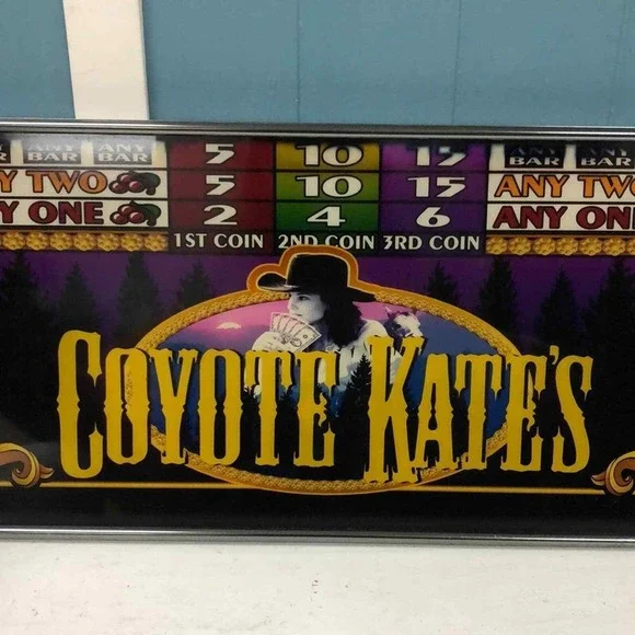 Vtg‎ Coyote Kate's Las Vegas framed framed casino glass 20