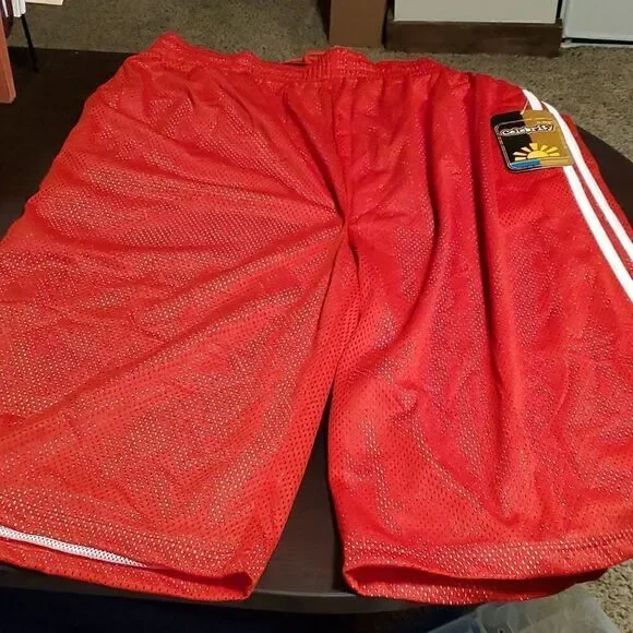 Men's Double Layered Mesh Shorts Big & Tall