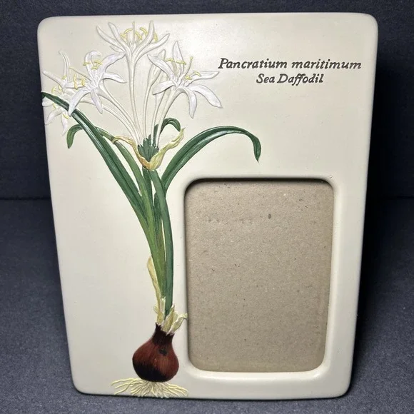 Carr Picture Frame‎ 3.5x5 Botanical Garden Sea Daffodil Floral Frame