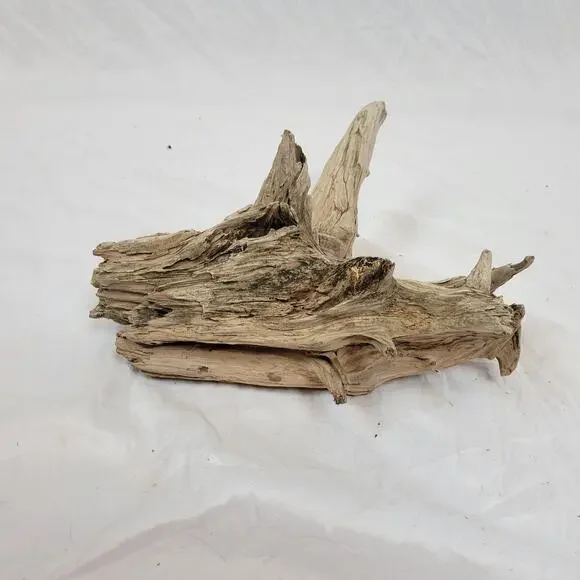 Ohio River Driftwood 13