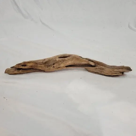 Ohio River Driftwood 22