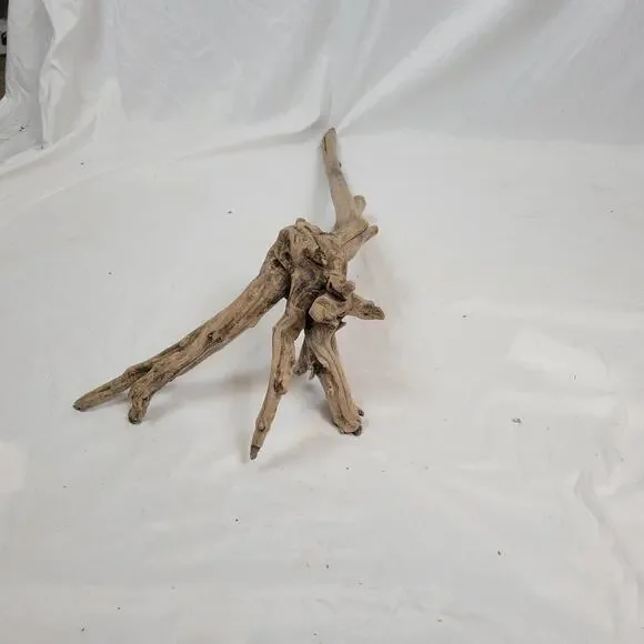 Ohio River Driftwood 42