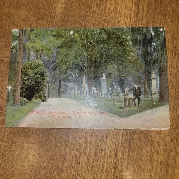 1908 Oakdale Cemetery Wilmington NC Postcard Southern Gray Moss‎ North...