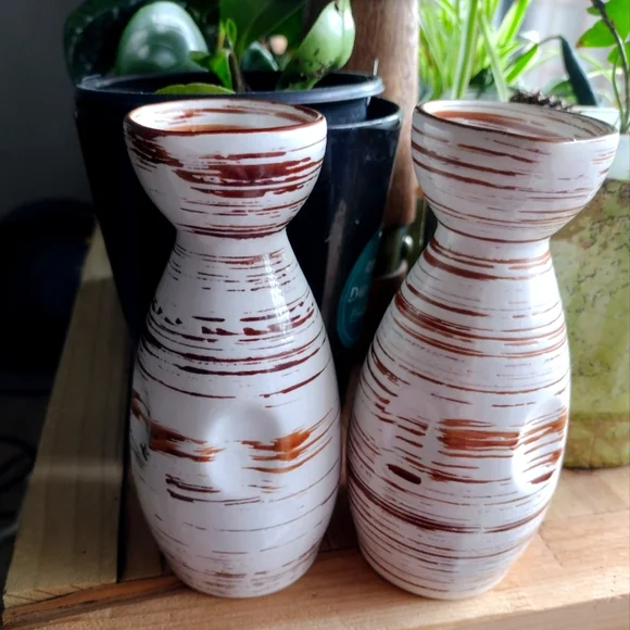 Pier 1 Brown and White Vases