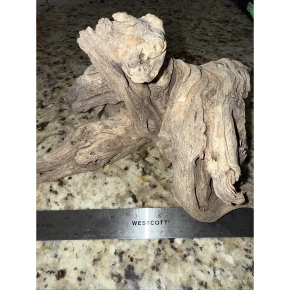 Driftwood taxidermy‎ log super super cool pieceThis very old. Flower arrangement