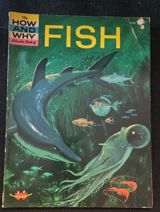 Vintage How and Why Wonder Book of Fish Children’s Science Book