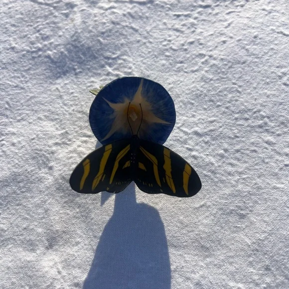 Yellow and Black Decorative Fish Ornament - Franklin Mint