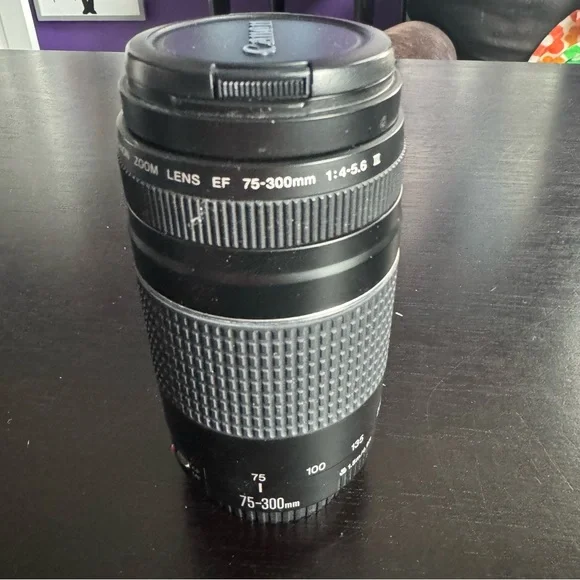 Canon Black and Gray Telephoto Zoom Lens