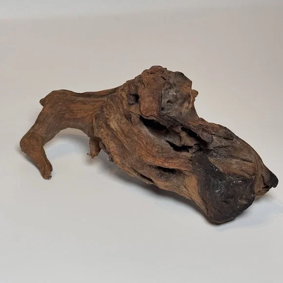 Natural Driftwood Root Sculpture Aquarium Aquascape Terrarium Wood 9.5