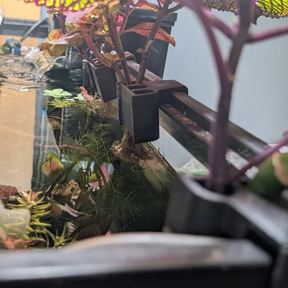 Aquarium Plant Holder (40/55 Gal Tank) - Black