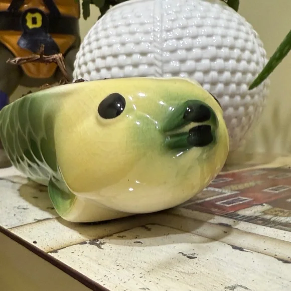 Green and White Fish-Shaped Ceramic Planter