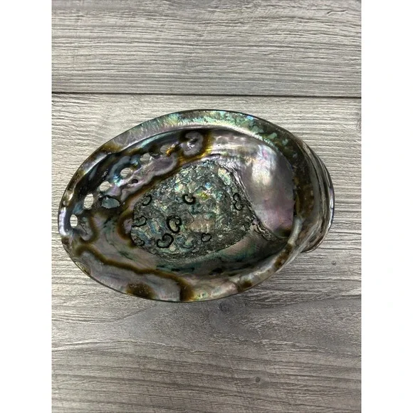 Large Abalone Seashell Iridescent Bowl Beach Home‎ Decor Pearl A3
