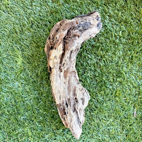 Natural Driftwood California Coast Rustic Beach Decor Aquarium Terrarium Piece