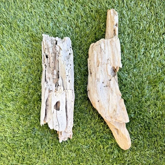 2 Natural Driftwood Pieces California Coast Rustic Beach Decor Aquarium Art