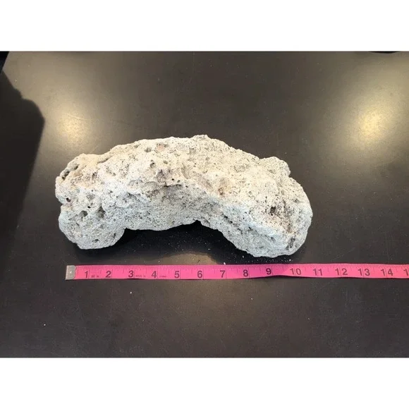 Coral Reef Cluster Specimen - 10