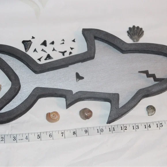 Wooden Shark Teeth Bank