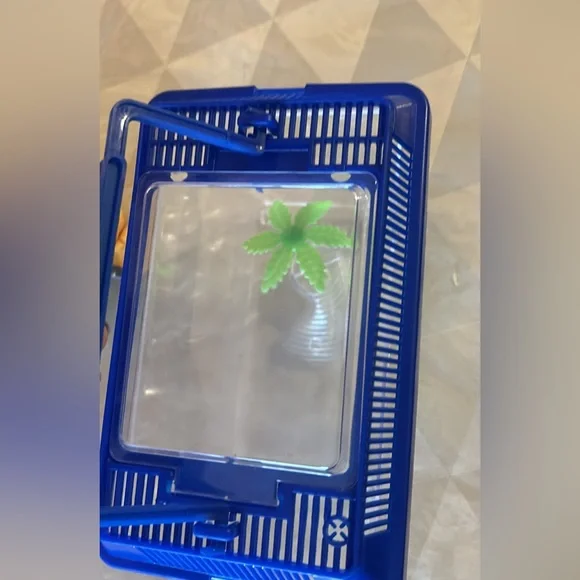 Mini Fish Tank & Pineapple Decor