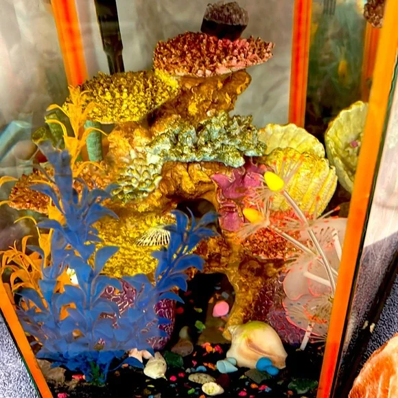 🐠 fish tank mystery box 🐠
