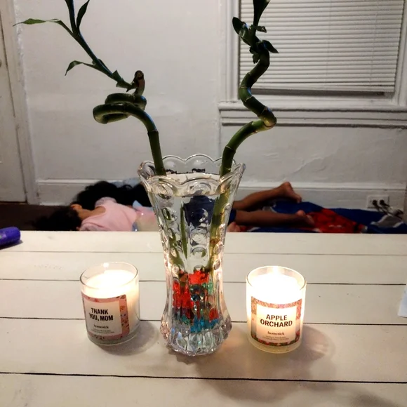 BECAUSE THEY LOOK BEAUTIFUL AS TABLE DECOR 🤩🤩