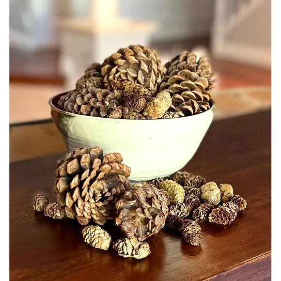 12oz Cinnamon Scented Pine Cones - Enchanting Bowl & Vase Filler for Festivities