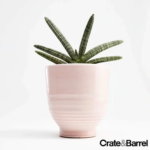Crate & Barrel Elba Blush Planter