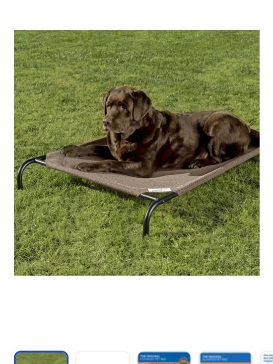 Elevated Dog Bed - Brown