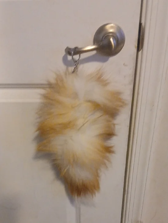 Tail Fluffy Really Cheap Ginger And White