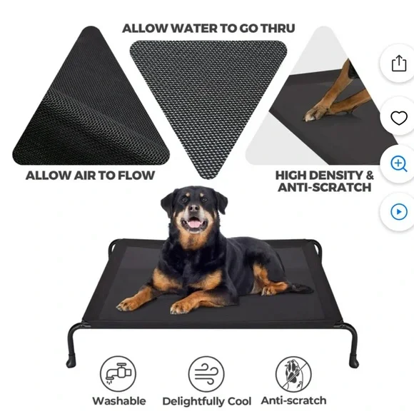 Outdoor Elevated Dog Bed