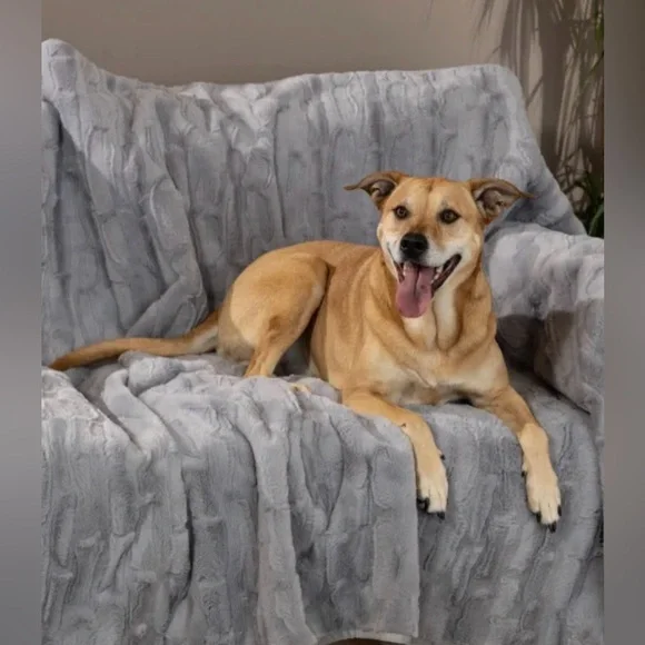 Brentwood Originals Oversized Waterproof Pet Blanket and Furniture Pro…