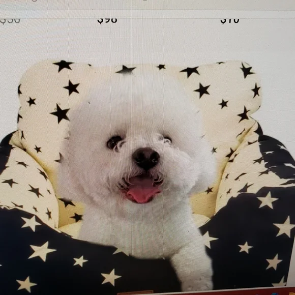 Dog Car Seat Pet Booster Seat for Small Dogs Washable New In Box & Plastic