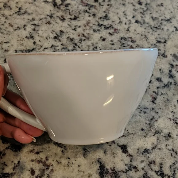 NWOT Crate & Barrel Massive Coffee Mug