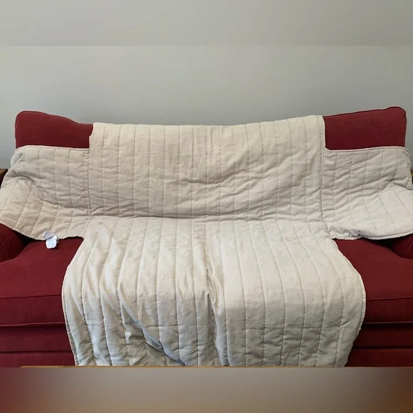 Loveseat Pet Friendly Slipcover