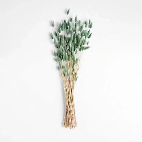 Crate&Barrel Dried Teal Green Bunny Tail Bunch 30”
