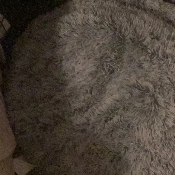 Soft Fluffy Rug