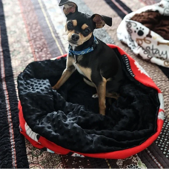 Dog puppy snuggle sack blanket