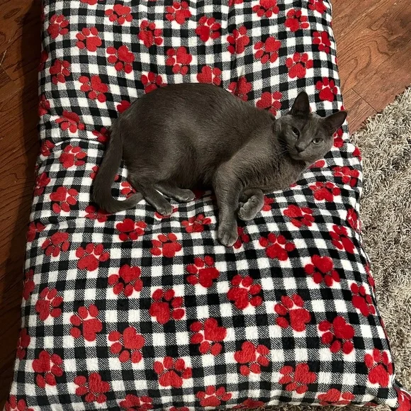 Custom made dog/cat bed