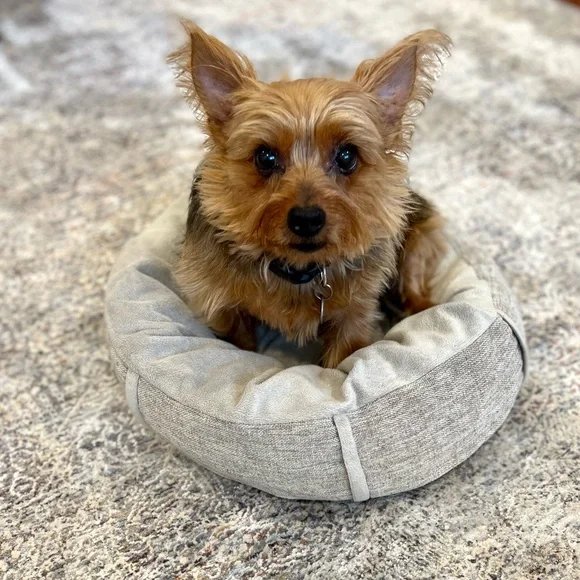 Dog bed