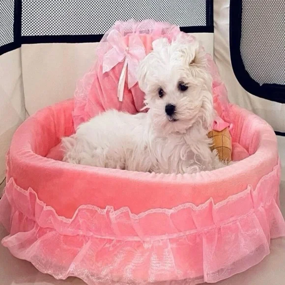 Pink Laced Decor Pet Bed