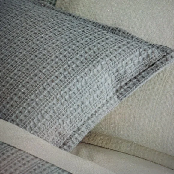 Crate&Barrel Tessa King Pillow Shams Set of 2